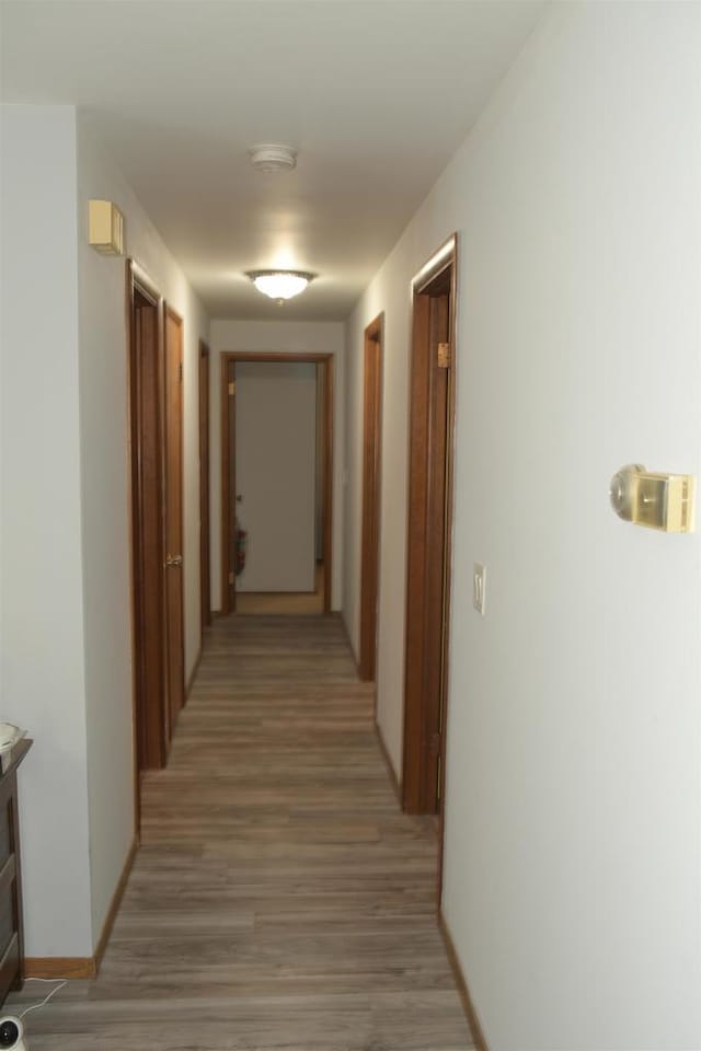 hall with hardwood / wood-style floors