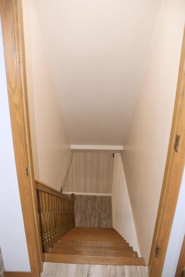 staircase featuring wood-type flooring