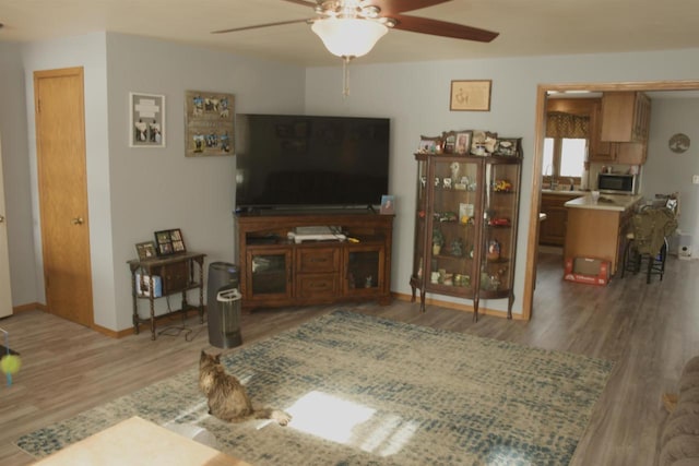 living room with ceiling fan and wood-type flooring