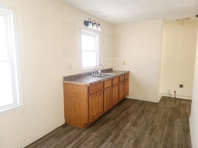 kitchen with dark hardwood / wood-style flooring and sink