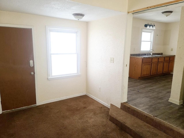 carpeted spare room with sink and a textured ceiling