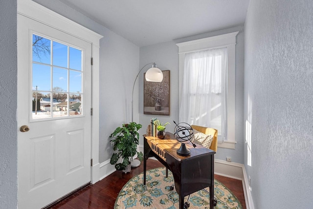 interior space featuring dark hardwood / wood-style flooring and a wealth of natural light