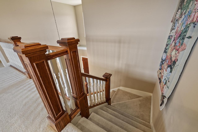 stairway featuring carpet