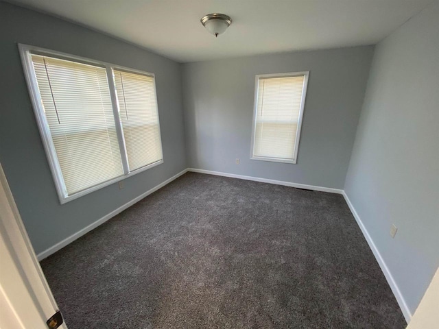 carpeted empty room featuring a wealth of natural light