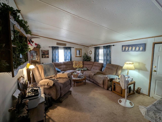 carpeted living room with vaulted ceiling and a textured ceiling