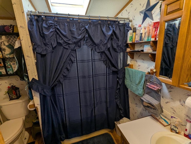 bathroom featuring vanity, toilet, and a shower with shower curtain