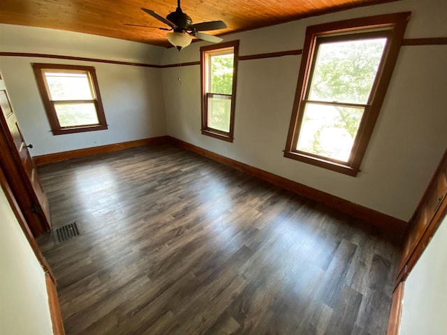 spare room with a wealth of natural light, wooden ceiling, dark hardwood / wood-style floors, and ceiling fan