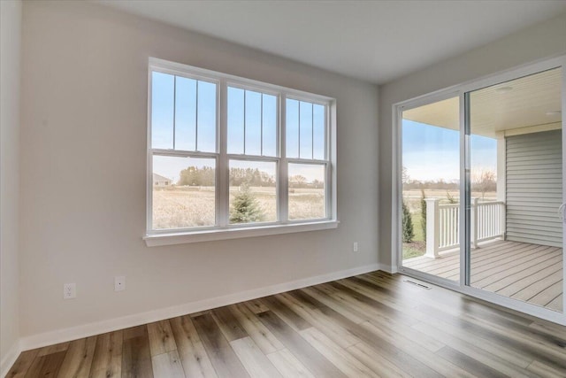 empty room with plenty of natural light and light hardwood / wood-style floors