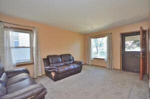 living room with carpet