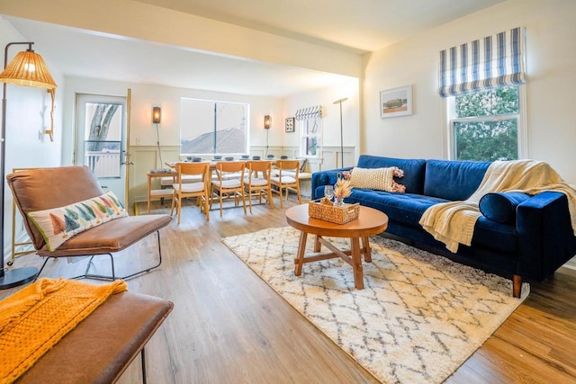 living room with hardwood / wood-style flooring and plenty of natural light