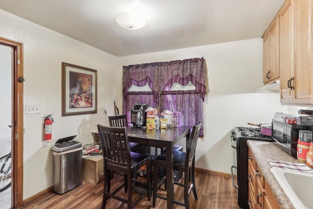 dining area featuring sink and dark hardwood / wood-style flooring