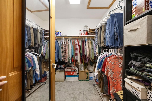 spacious closet with light colored carpet