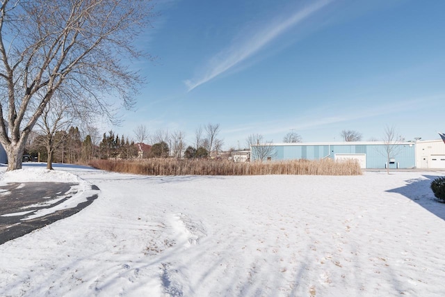 view of yard covered in snow