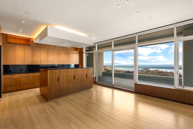 kitchen featuring a water view, a wall of windows, a healthy amount of sunlight, and light hardwood / wood-style flooring