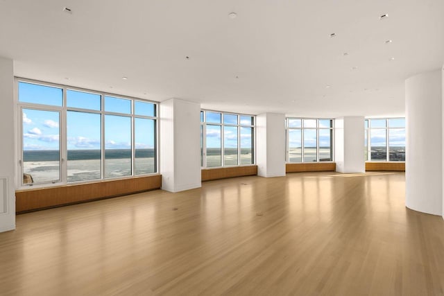 spare room featuring light hardwood / wood-style flooring, a healthy amount of sunlight, and a water view