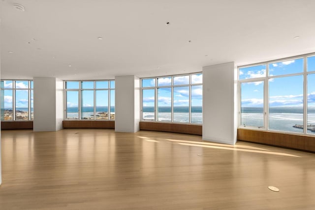 interior space featuring a wealth of natural light, light wood-type flooring, and a water view