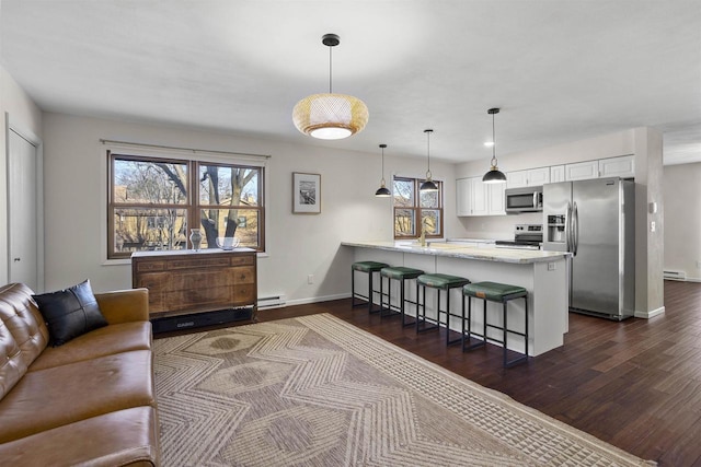 living room featuring dark wood-type flooring, sink, and baseboard heating