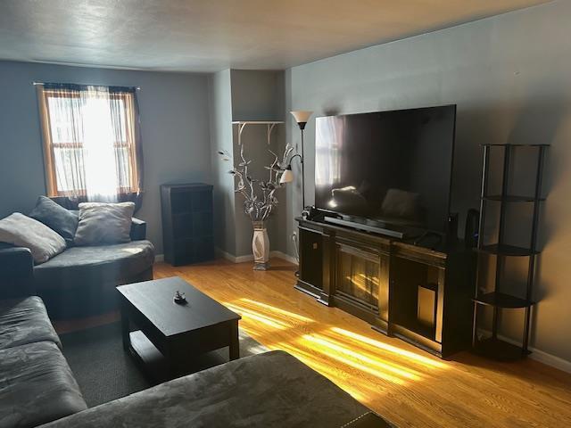 living room with light hardwood / wood-style flooring