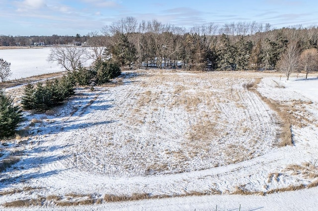 view of yard layered in snow