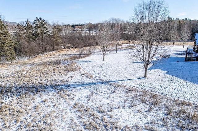 view of snowy yard