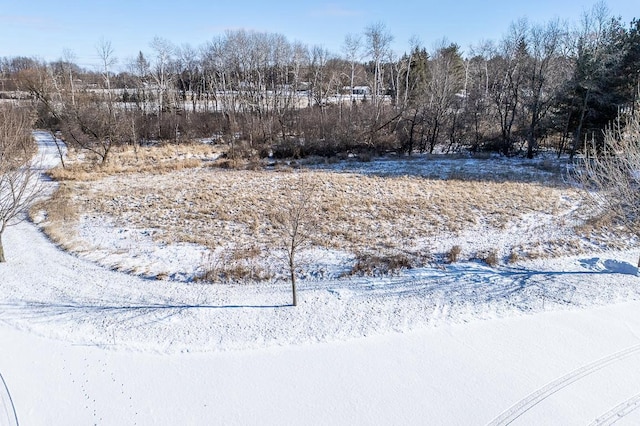 view of yard covered in snow