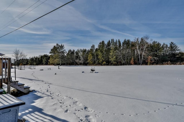 view of snowy yard