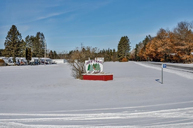 view of yard covered in snow