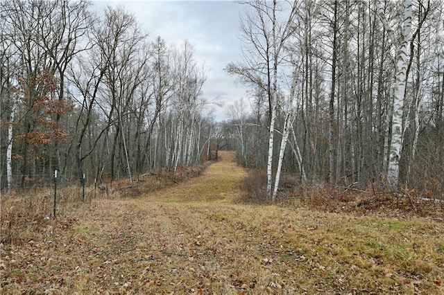 81ACRES Pinnow Rd, Bruce, WI 54819