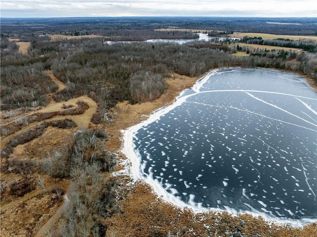 81ACRES Pinnow Rd, Bruce, WI 54819