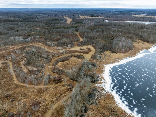 81ACRES Pinnow Rd, Bruce, WI 54819