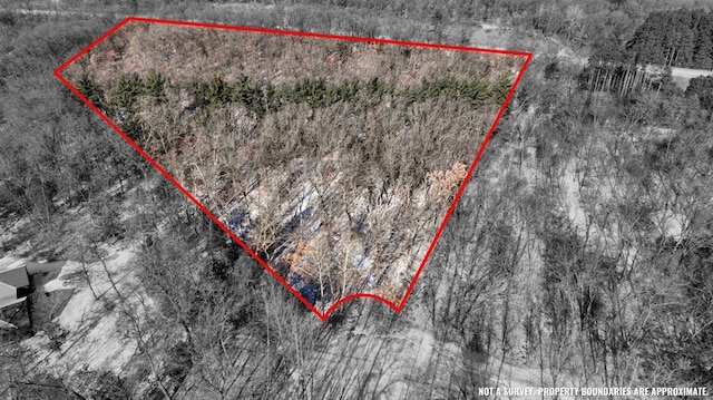 5.01ACRES Burr Oak Ct, Coloma WI, 54930 land for sale