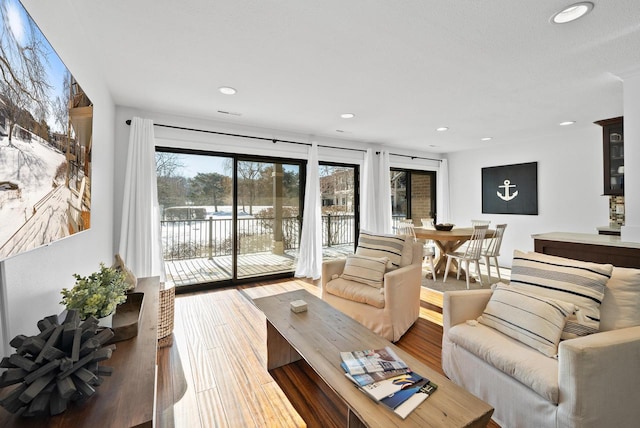 living room featuring wood-type flooring