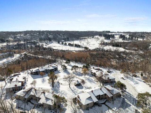 view of snowy aerial view