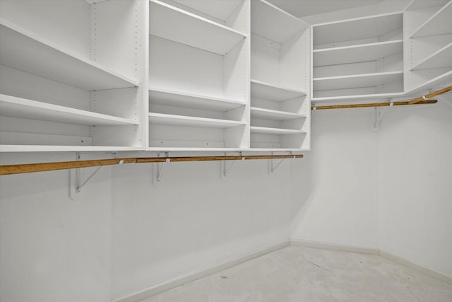 view of spacious closet