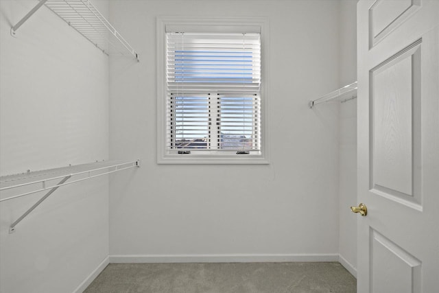 walk in closet featuring light colored carpet