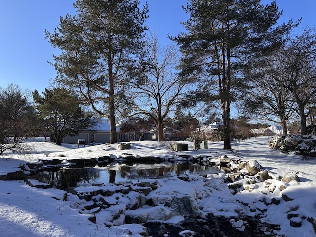 view of yard covered in snow