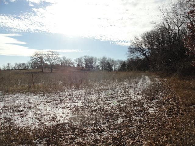 N8621 5th Rd, Westfield, WI 53964 - view of local wilderness with a rural view