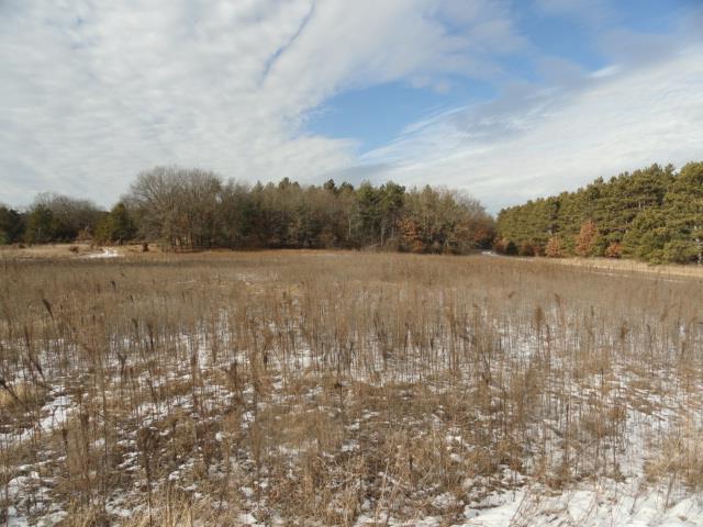 N8621 5th Rd, Westfield, WI 53964 - view of snow covered land
