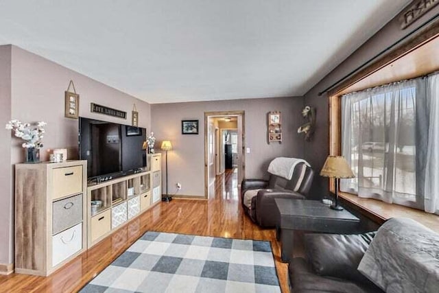 living room featuring light hardwood / wood-style flooring