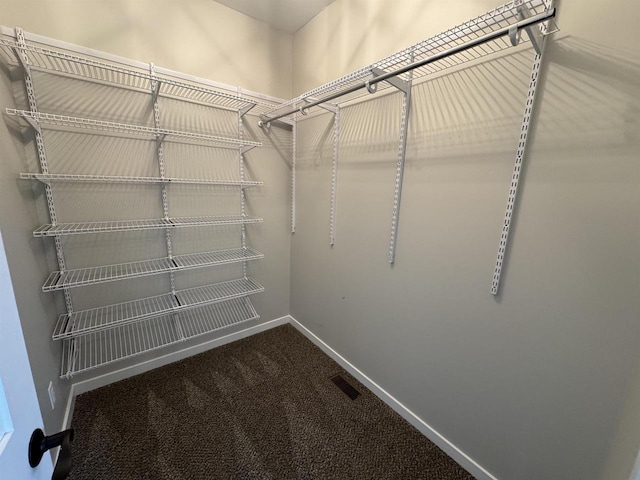 spacious closet featuring carpet