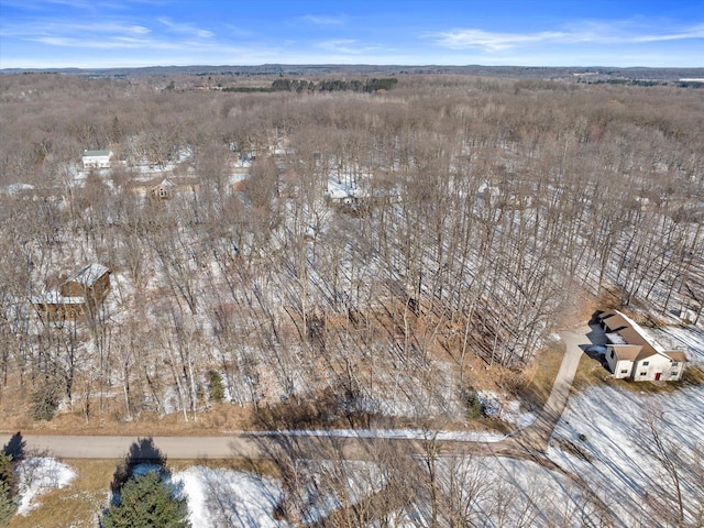 E2264 Meadow Valley Ct, Waupaca WI, 54981 land for sale