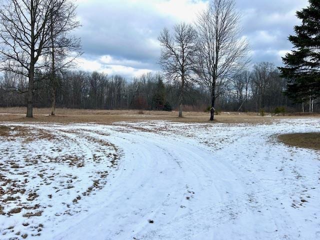 view of yard layered in snow