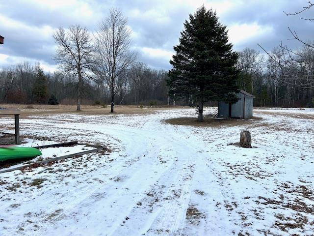 yard covered in snow with a shed