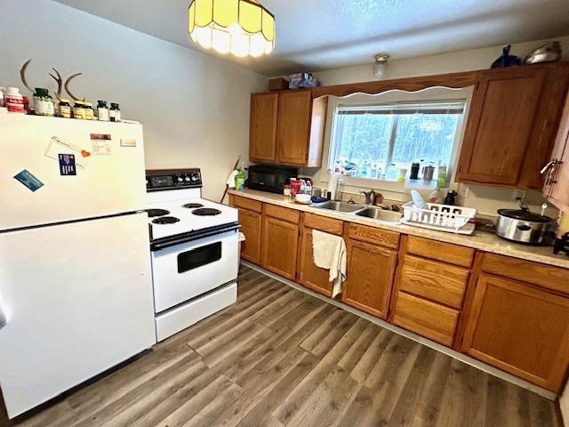 kitchen featuring white appliances, dark hardwood / wood-style floors, and sink