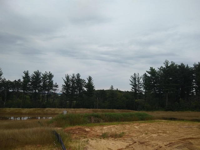 view of nature with a view of trees