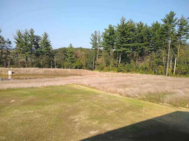 view of yard with a wooded view