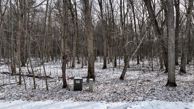 Listing photo 3 for LOT19 S Badger Ln, Arkdale WI 54613