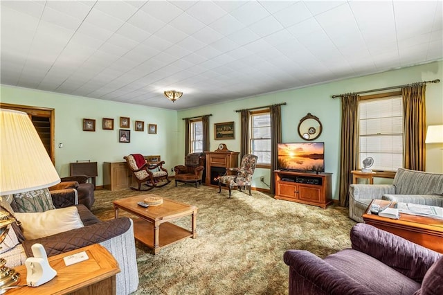 living room with carpet floors