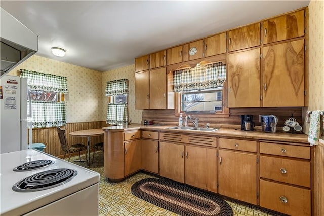 kitchen featuring white appliances, ventilation hood, sink, and a wealth of natural light