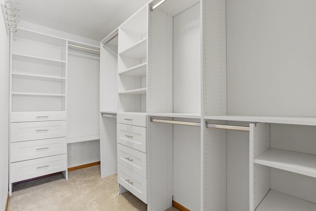 walk in closet featuring light colored carpet